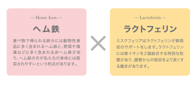 ヘム鉄とラクトフェリン